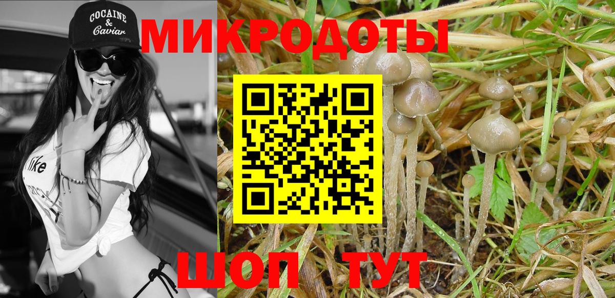Гусев  Галлюциногенные грибы ЛСД  Вход с VPN 