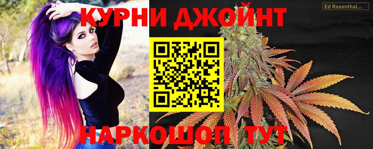 Конопля индика Гусев